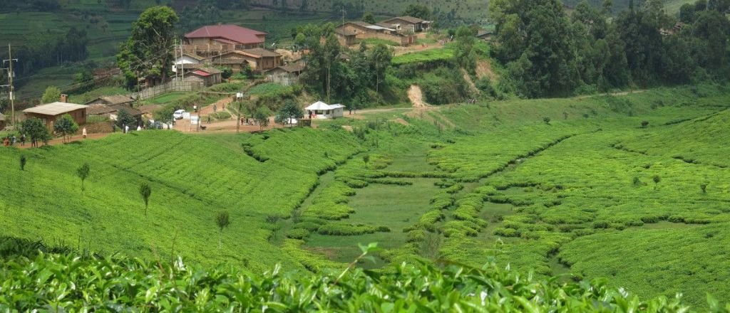 Ethiopian Airlines Burundi Office Address