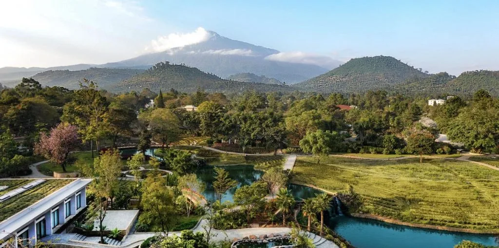 Qatar Airways Arusha Office in Tanzania