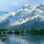 Go Air Srinagar Office in Jammu and Kashmir