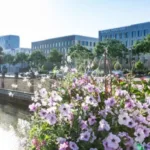 Air Arabia Mulhouse Office in France