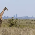 Air Arabia Nairobi office in Kenya