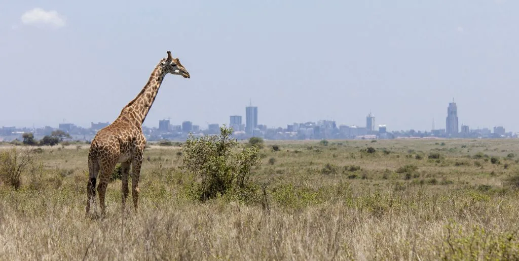 Air Arabia Nairobi Office in Kenya