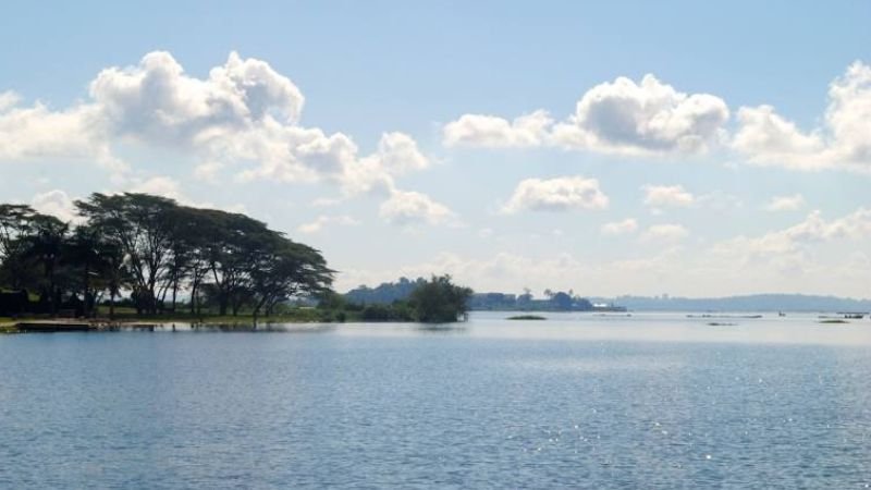 Brussels Airlines Entebbe Office Address