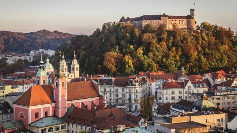 Pal Airlines Ljubljana Office Address