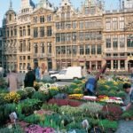 Frontier Airlines Brussels Office in Belgium