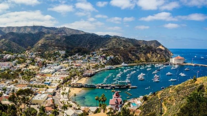 JetBlue Airlines Anaheim Office