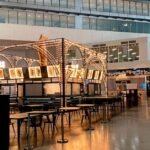 Norse Atlantic Airways AGP Terminal