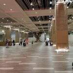 Norse Atlantic Airways DPS Terminal