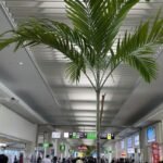 Norse Atlantic Airways OKA Terminal