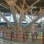 Norse Atlantic Airways STR Terminal