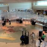 Sun Country Airlines DAL Terminal