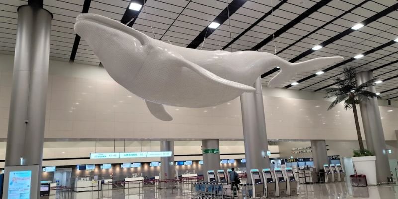 Aeromexico Airlines CJU Terminal