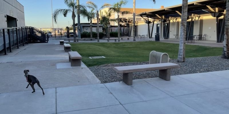 Copa Airlines AZA Terminal