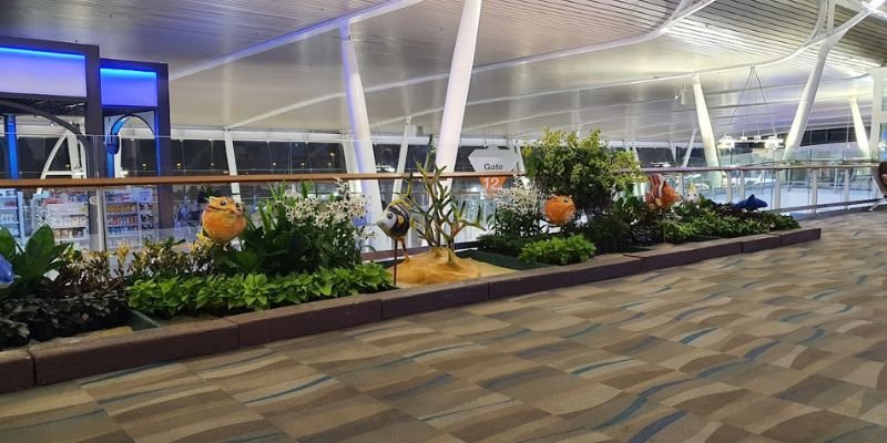 Copa Airlines HKT Terminal