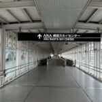 Copa Airlines NRT Terminal