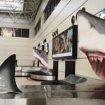 Pegasus Airlines AYT Terminal