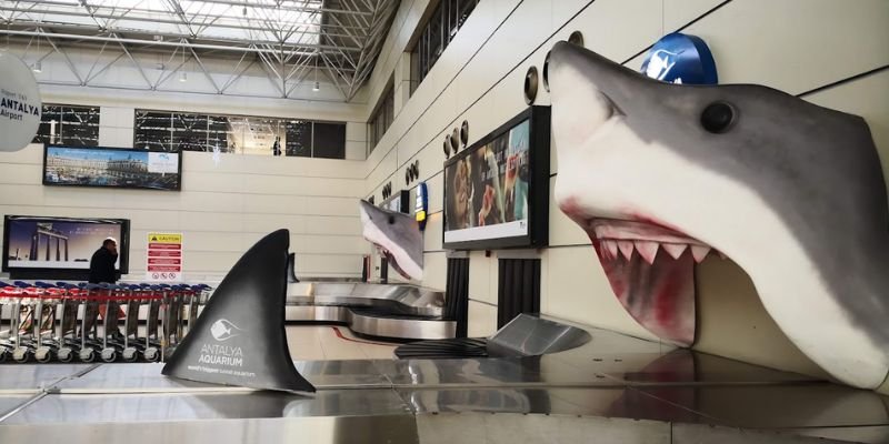 Pegasus Airlines Antalya Airport – AYT Terminal