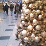 Pegasus Airlines DUS Terminal