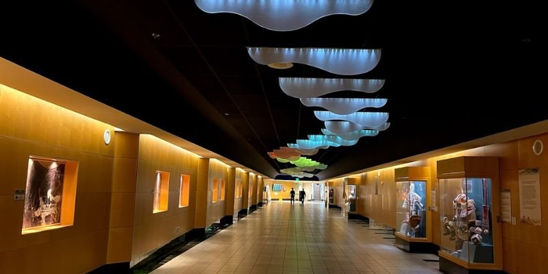 Spirit Airlines ANC Terminal